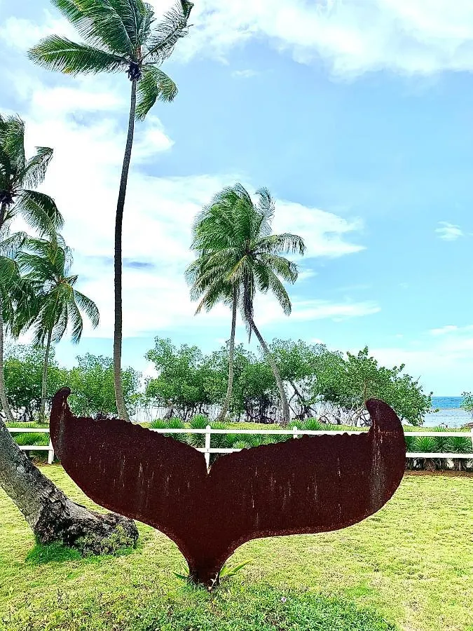 Villa Azulsalado Las Terrenas
